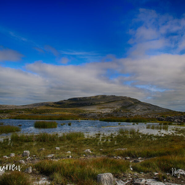 Burren